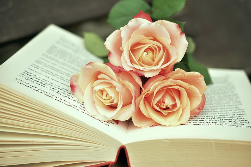 Victorian Era Book